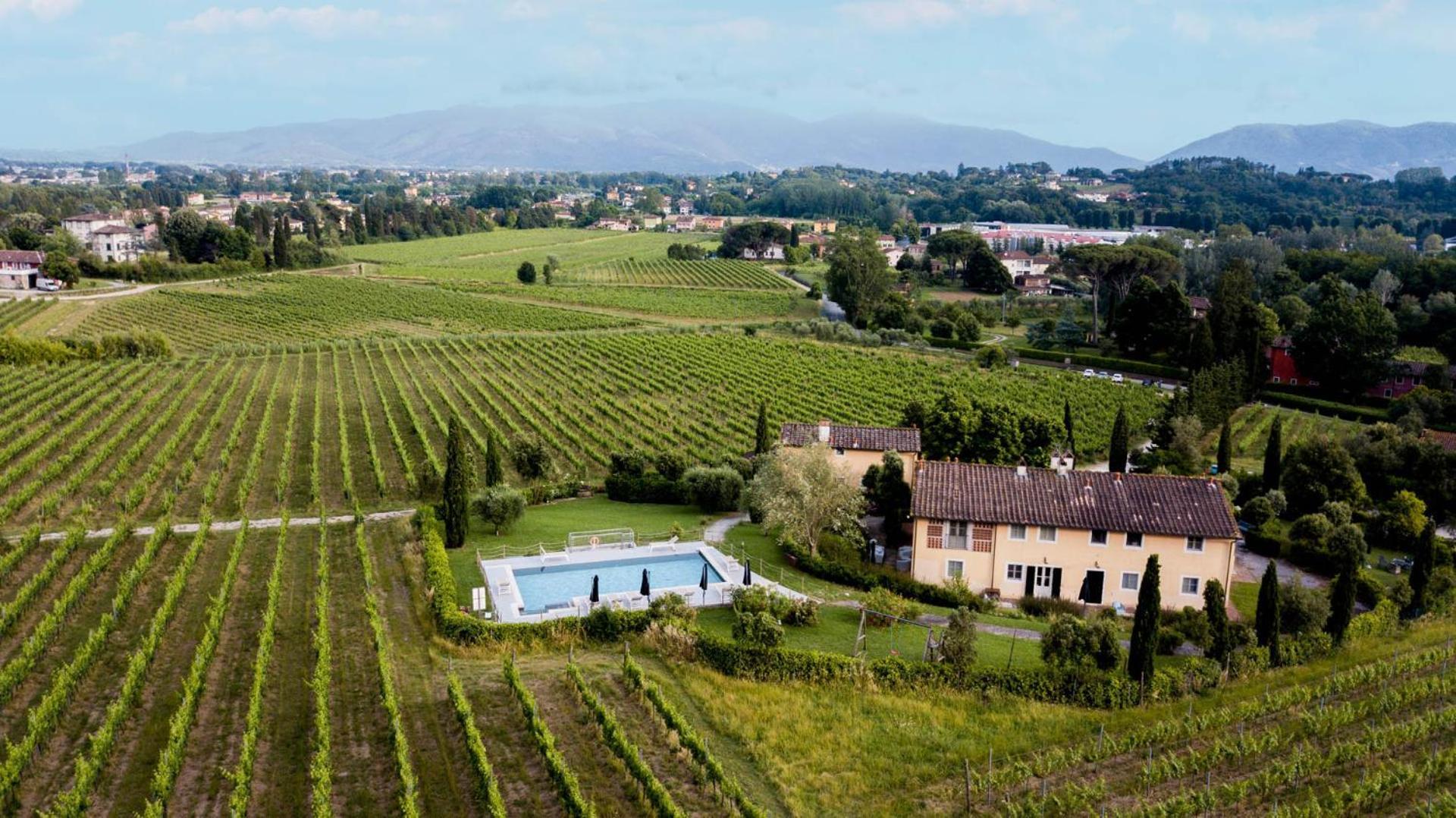 Cicale 3 Bedrooms Farmhouse With Shared Pool Λούκα Εξωτερικό φωτογραφία